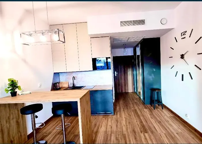 Apartment Hanza Tower De Lux Black *